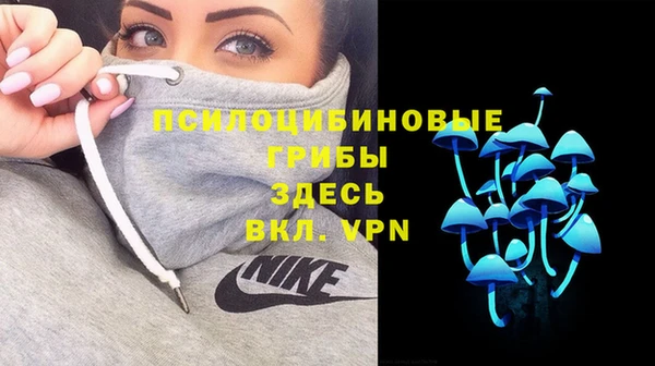 трава Белокуриха