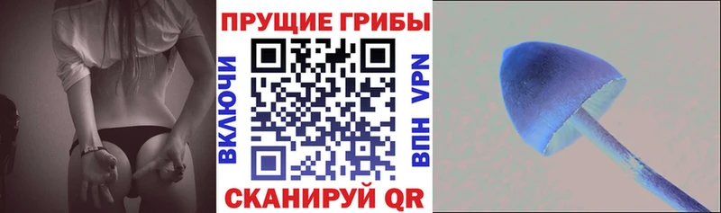 Галлюциногенные грибы Psilocybine cubensis  MEGA маркетплейс  Горнозаводск 